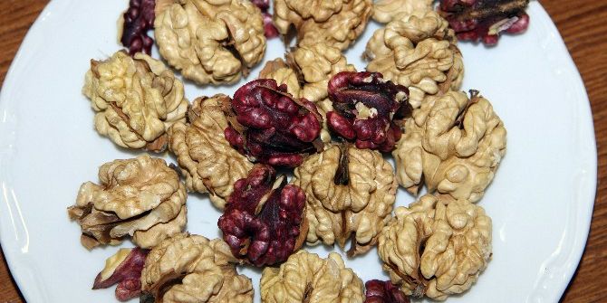 Türkiye’nin İlk Melez Cevizine "15 Temmuz" Adı Verildi