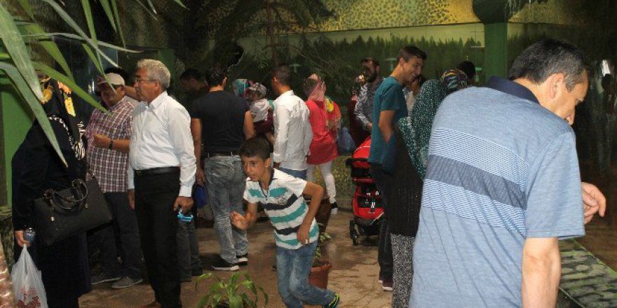 Harikalar Diyarı’nda Bayram Coşkusu