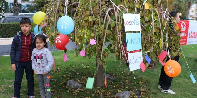 Lösemili Çocuklar Dileklerini Ağaca Astı