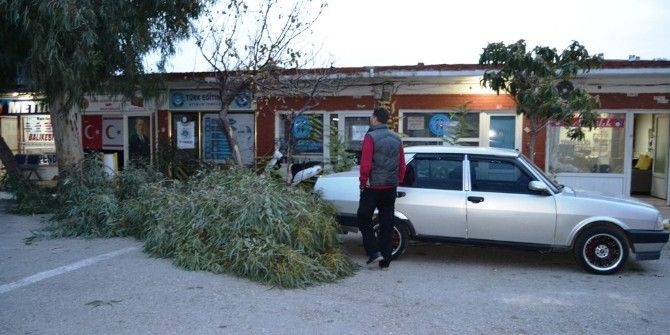 Fırtınada Devrilen Ağacın Altından Saniyelerle Kurtuldu