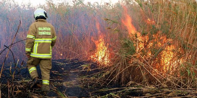 20 Dönüm Arazi Kül Oldu