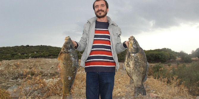 Elleriyle 15 Kiloluk Balık Yakaladı