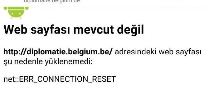 Aslan Neferler Tim Belçika’nın Resmi İnternet Sitelerini Çökertti