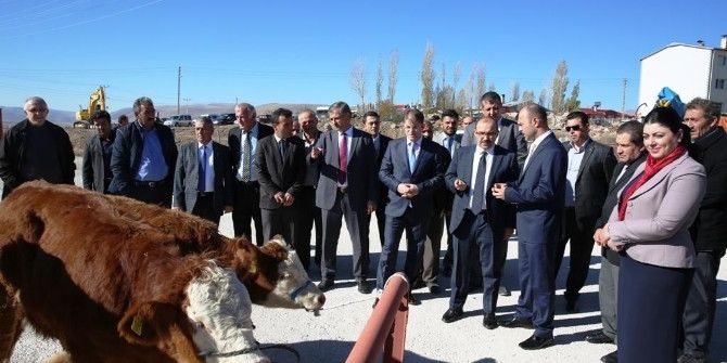 Genç Çiftçilere Hibeleri Verilmeye Başlandı