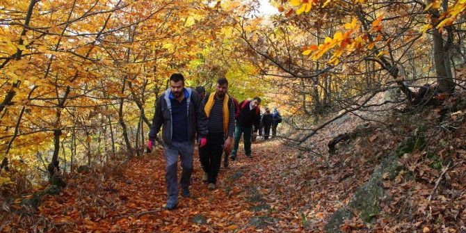 Odak Etkinliklerine Başladı