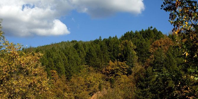 Malatya’nın Rüyası Gerçek Oldu