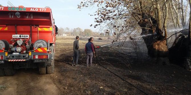 Yenice’de Tarla Yangını