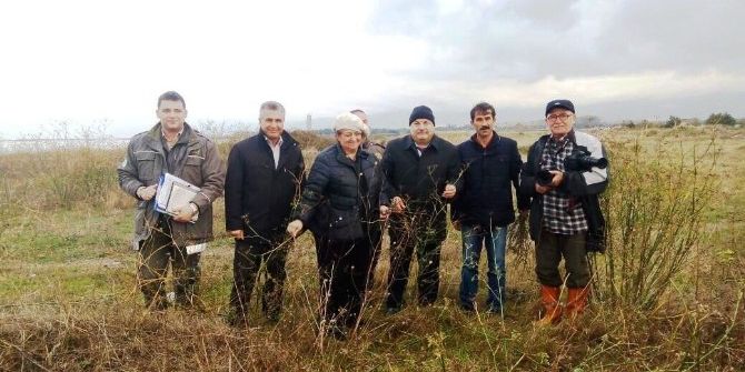 Hersek Lagününe Botanik Bahçesi