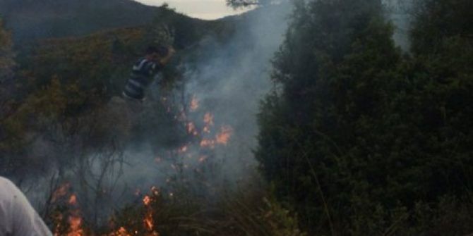 Bayırköy’de Orman Yangını