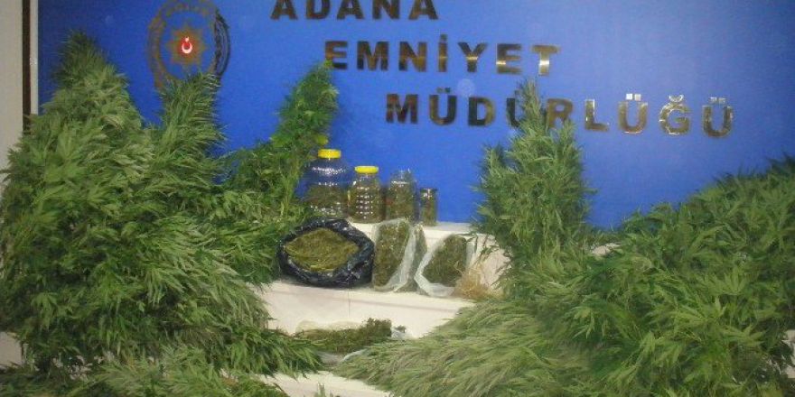 Adana’da Uyuşturucu Operasyonu