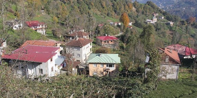 Köylüler Diken Üstünde