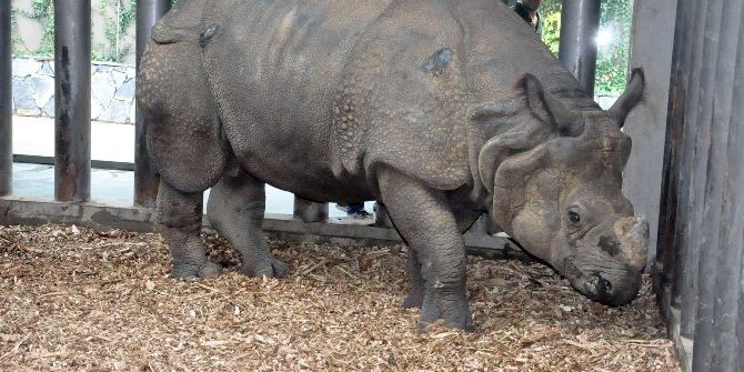 Türkiye’nin İlk Zırhlı Gergedanı Samir’e Eş Geliyor