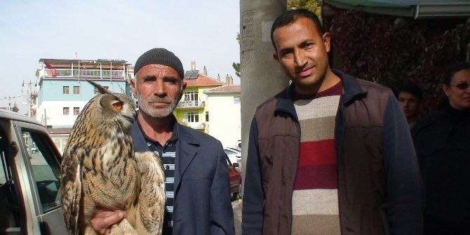 Yaralı ’Puhu’ Kuşuna Vatandaşlar Sahip Çıktı
