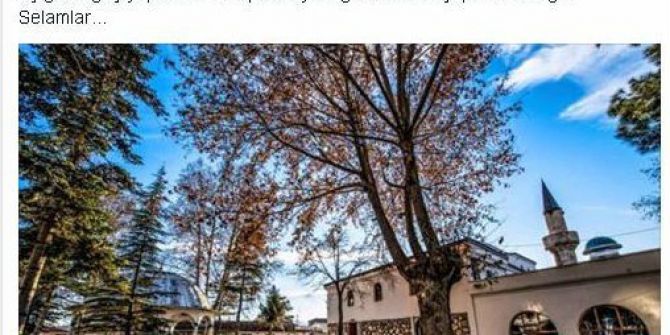 Turhal’da 3 Gün Yaprak Süpürülmeyecek