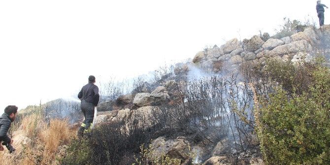 Milas’taki Yangın Evleri Tehdit Etti