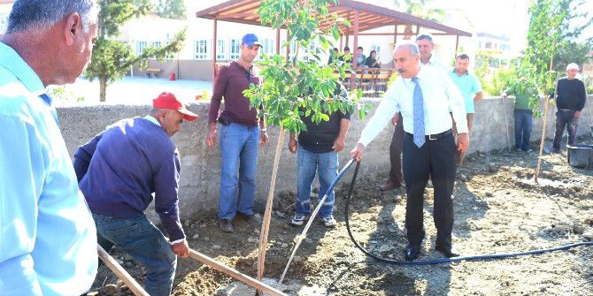 Başkan Culha: “Geleceğimiz Yeşil Bir Çevrede Büyümeli”
