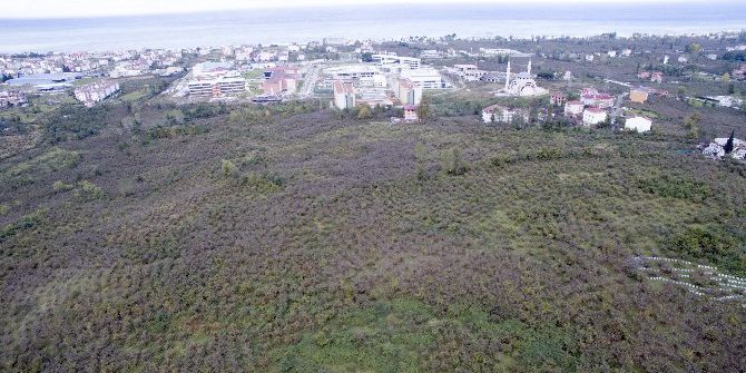 Ordu, Eğitim Ve Araştırma Hastanesine Kavuşuyor