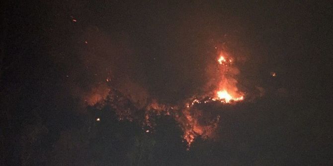 Rize’de Örtü Yangını