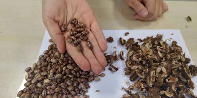 70 Yıllık Tohum Takas Edilecek