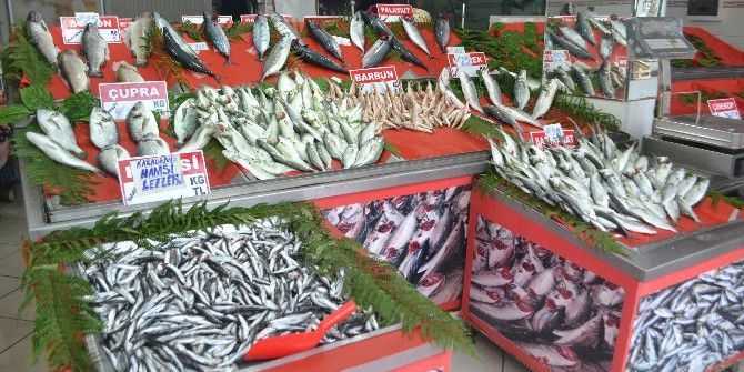 Sofralarda Palamudun Yerini Çinekop Aldı