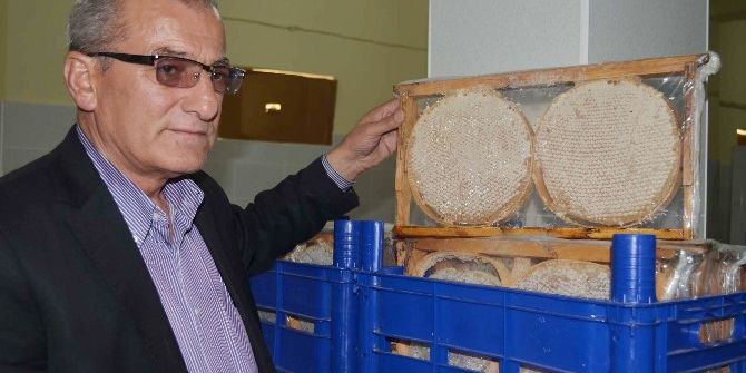 Bitlis Arıcılar Birliği Başkanı Avcil: “Türkiye’nin En Kaliteli Balı Bitlis’te Üretiliyor”
