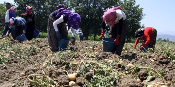 Patatesin Destek Dışı Kalması Çiftçiyi Üzdü
