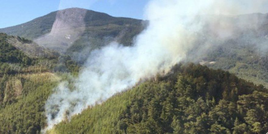 Antalya’da Orman Yangını