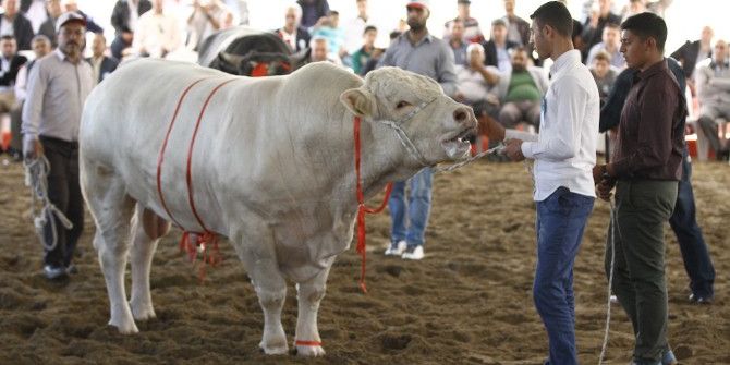 Anadolu Expo Üreticinin Sesi Oldu