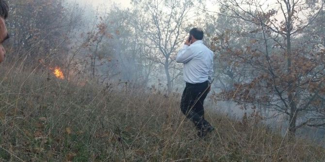 Biga’da 5 Hektar Tarım Arazisi Yandı