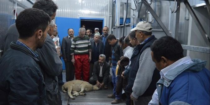 İvrindi’de Kurban Kesim Kursları İlgi Gördü