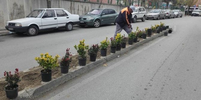 Sungurlu Güzelleşiyor