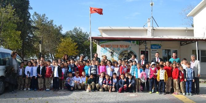 Karesi Belediyesi, Çocuklara Hayvan Sevgisini Aşıladı