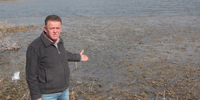 Göletin Suları Çekilince Etrafı Sinek Ve Pis Koku Yayıldı