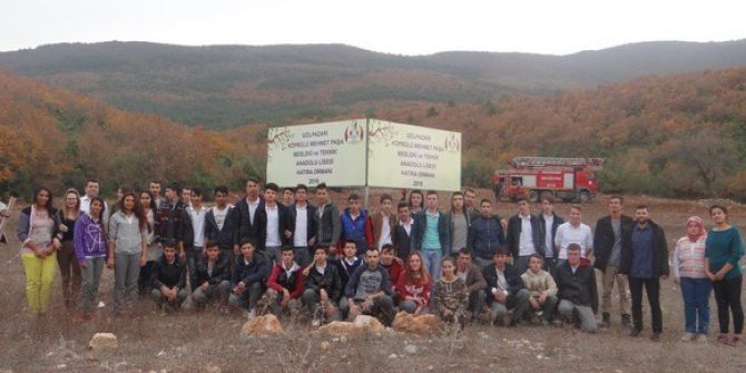 Gölpazarı’nda İlk Hatıra Ormanı