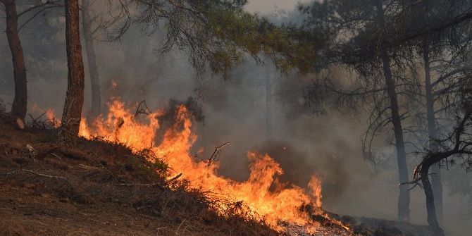 Tokat’ta Orman Yangını
