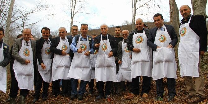 Ormanlar Gençleştiriliyor