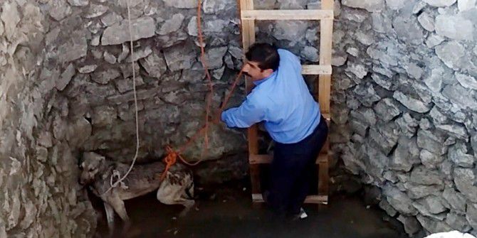 Kuyuya Düşen Köpeği Vatandaşlar Kurtardı