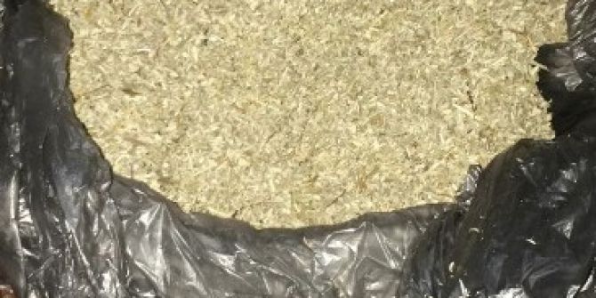 Yüzlerce Genci Zehirleyecek Bonzai İle Yakalandı