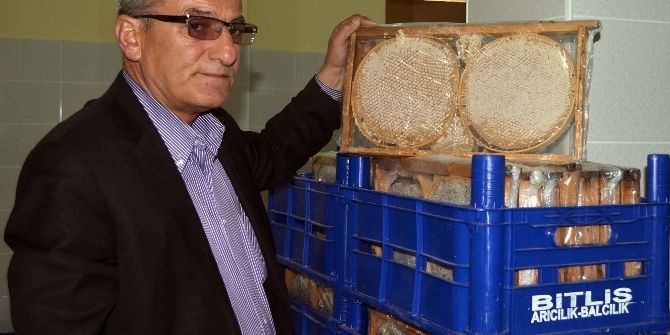 Bitlis’teki Arıcıların Sorunları