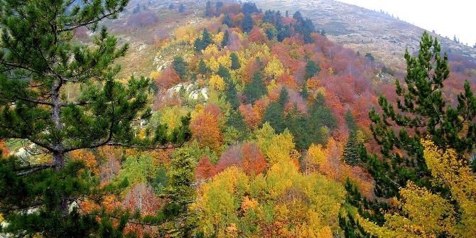 Uludağ’da Sonbahar Güzelliği