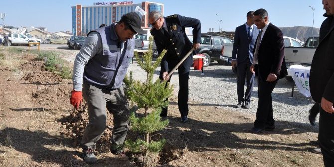 Çedaş, 15 Temmuz Şehitleri Anısına Hatıra Ormanı Oluşturdu