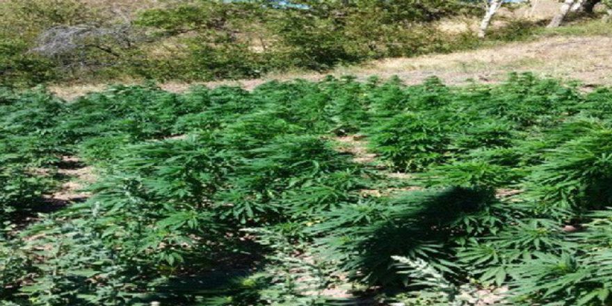 Malatya’da Jandarma Zehir Tacirlerine Ve Dolandırıcılara Geçit Vermiyor