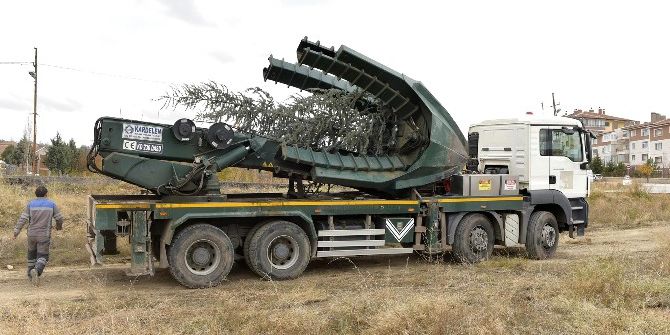Mamak’ta Ağaçlar Kesilmiyor, Naklediliyor