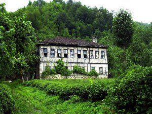 Artvin Kavak Köyü