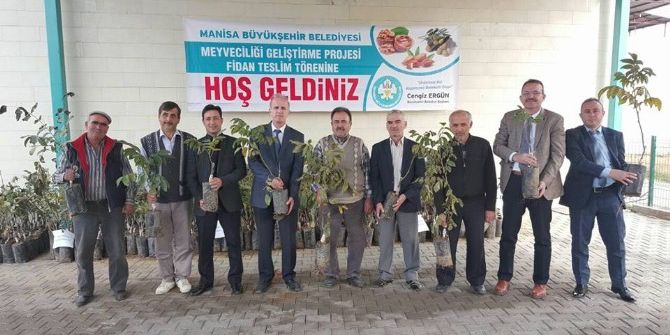 Ceviz, Ahmetli’de Yaygınlaşacak