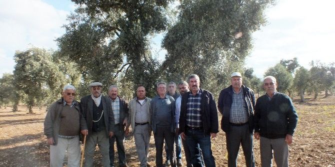 Ak Yeniköylü Üreticilerin Toprak İsyanı