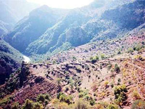 Adana Aladağ Gökçe Köyü