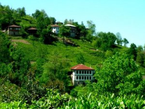 Artvin Sırtoba Köyü