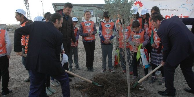 Van’da Yeşil Osb Yeşil Kss Projesi