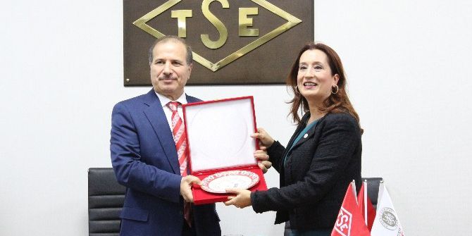 Tse Ve Burea Veritas Nükleer Santral Gözetim Hizmetleri İçin İşbirliğine Gidiyor